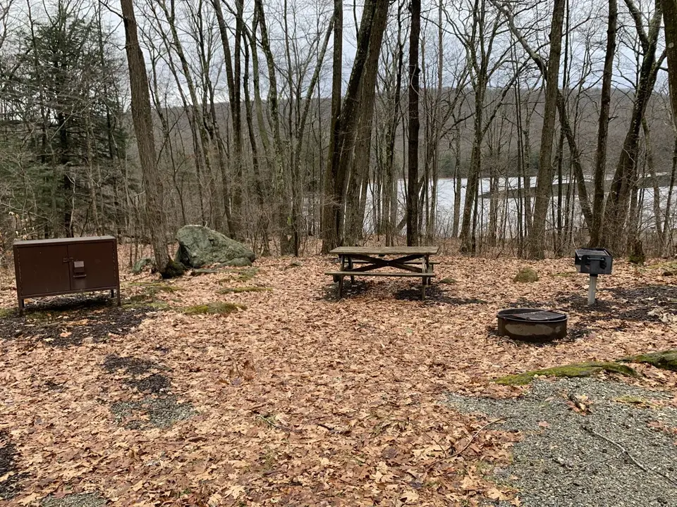 Beartown State Forest Campground in Great Barrington, MA | Berkshires Outside