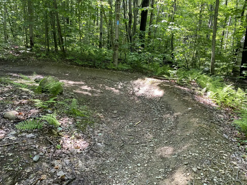 Lower Gould Trail - West Mountain Road in Adams, MA | Berkshires Outside