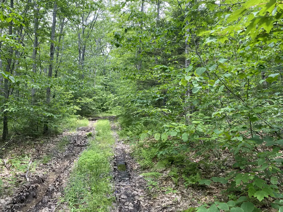 Mohawk Trail Trailhead in North Adams, MA | Berkshires Outside