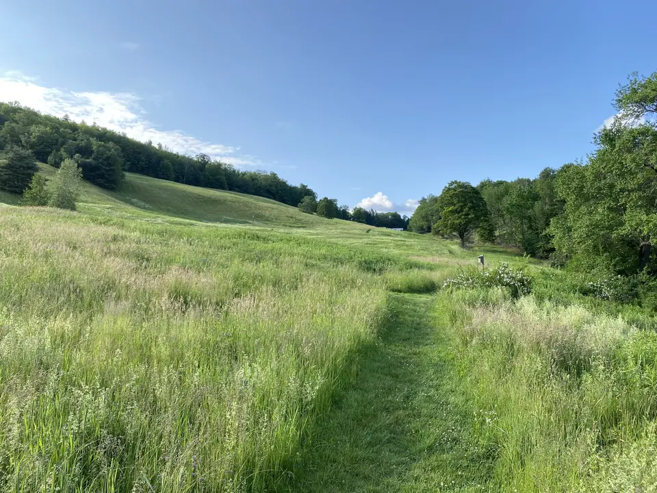 Sheep Hill in Williamstown, MA | Berkshires Outside