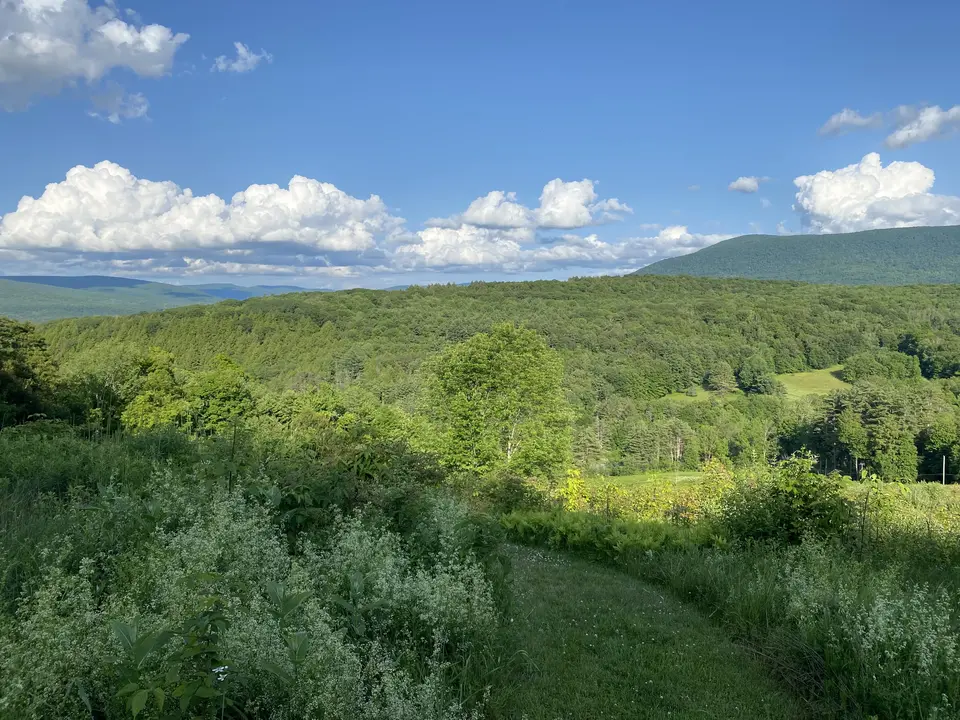 Sheep Hill in Williamstown, MA | Berkshires Outside