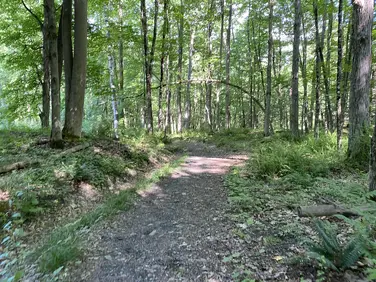 Ford Glen Brook Trail, Williamstown, MA