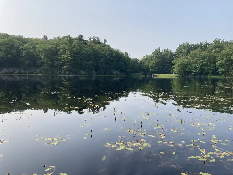 Upper Spectacle Pond in Sandisfield, MA | Berkshires Outside