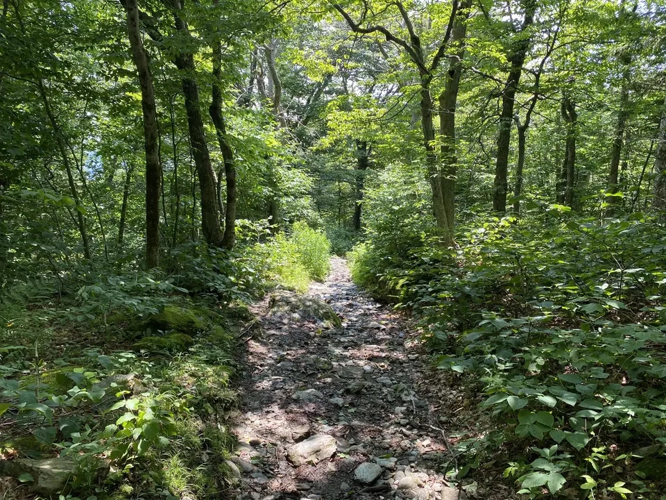 Appalachian Trail Trailhead - Rockwell Road in Williamstown, MA | Berkshires Outside