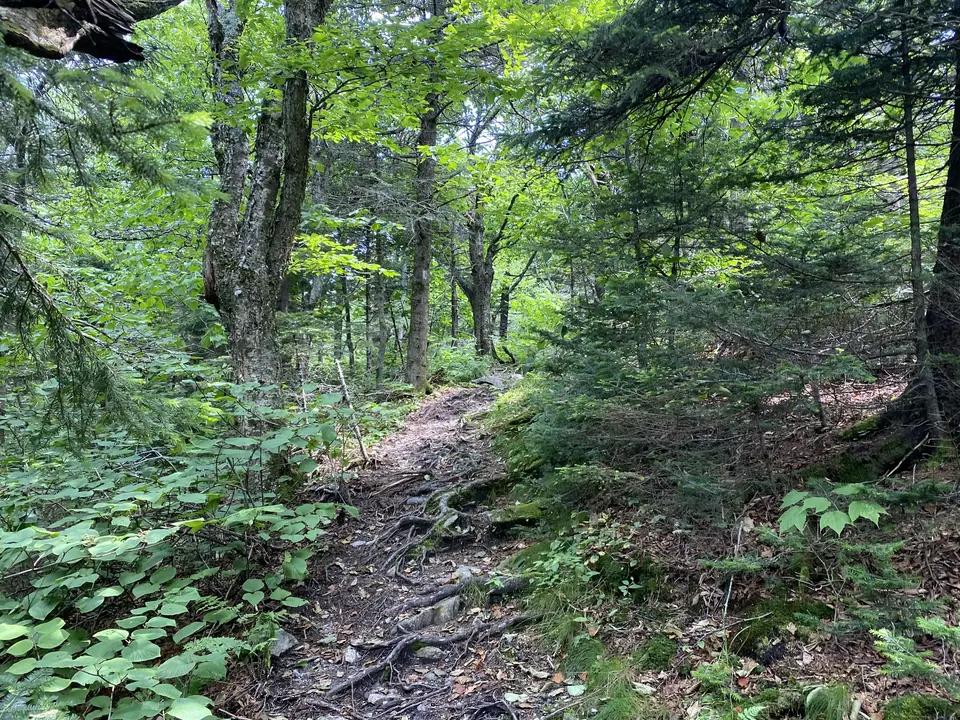 Appalachian Trail Trailhead - Rockwell Road in Williamstown, MA | Berkshires Outside