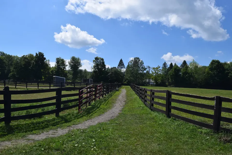 Bellwether Stables in Pittsfield, MA | Berkshires Outside