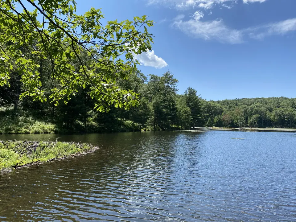 Berry Pond in Hancock, MA | Berkshires Outside