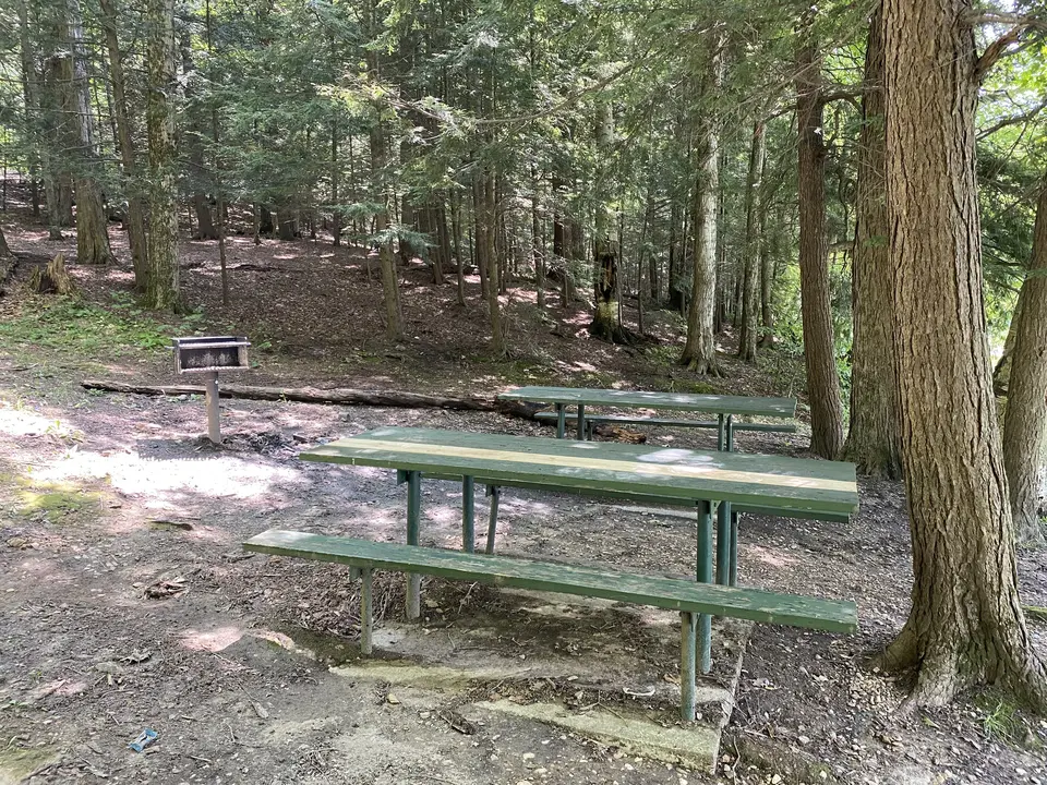 Burbank Park Picnic Area in Pittsfield, MA | Berkshires Outside