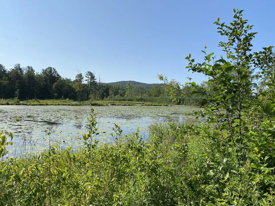 Canoe Meadows in Pittsfield, MA | Berkshires Outside