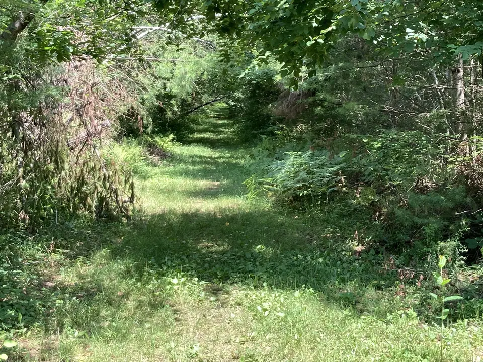 Esau's Heel Trail in Becket, MA | Berkshires Outside