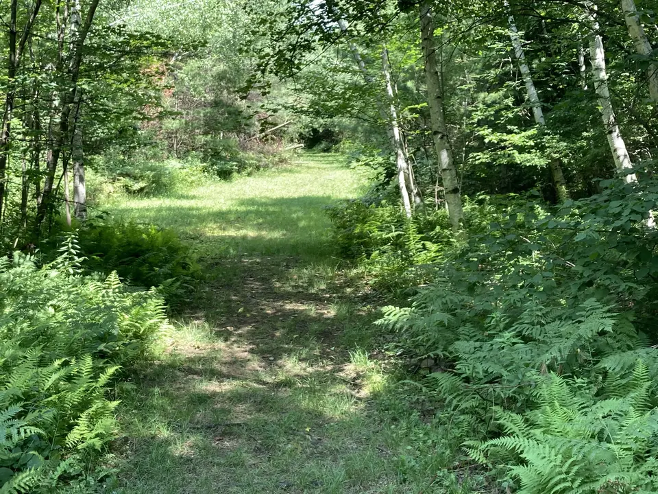 Esau's Heel Trail in Becket, MA | Berkshires Outside