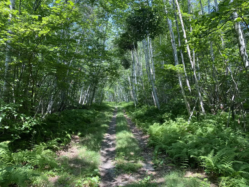 Father Loop Trailhead in Alford, MA | Berkshires Outside
