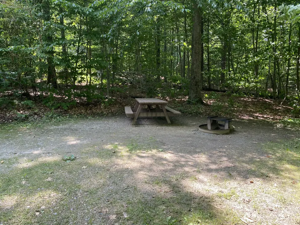 Savoy Mountain State Forest Campground in Savoy, MA | Berkshires Outside