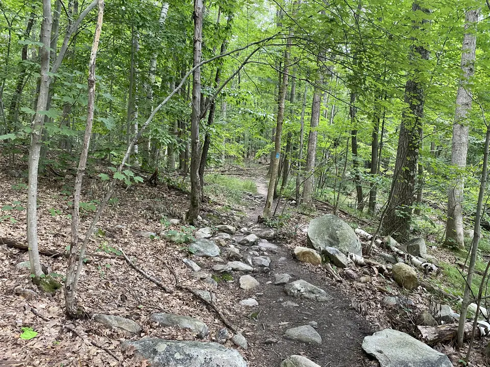 Pine Cobble Trailhead in Williamstown, MA | Berkshires Outside