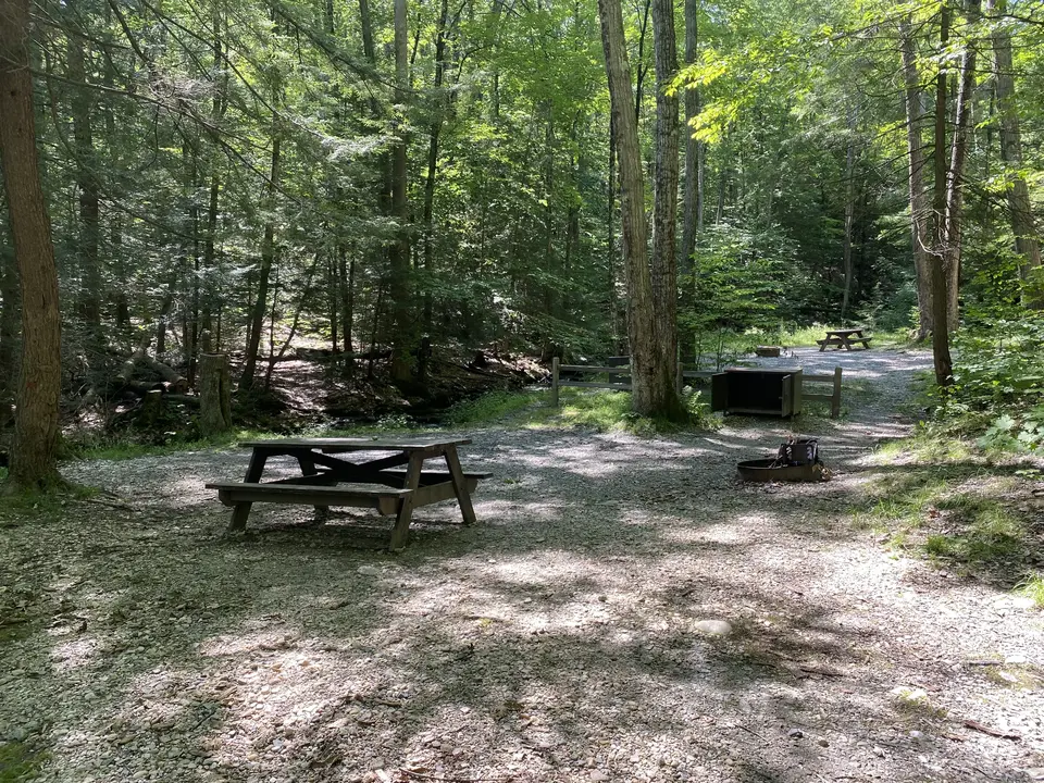 Pittsfield State Forest Campground in Pittsfield, MA | Berkshires Outside