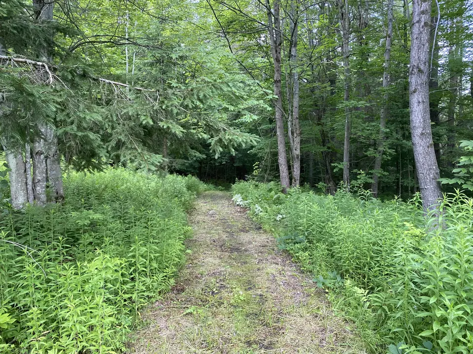 South County Road Trailhead in Florida, MA | Berkshires Outside