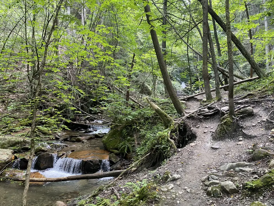 The Cascades Trail in North Adams, MA | Berkshires Outside