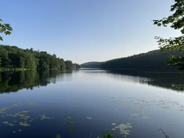 Lower Spectacle Pond, Sandisfield, MA