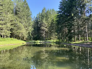 Van der Smissen Memorial Park, Mount Washington, MA