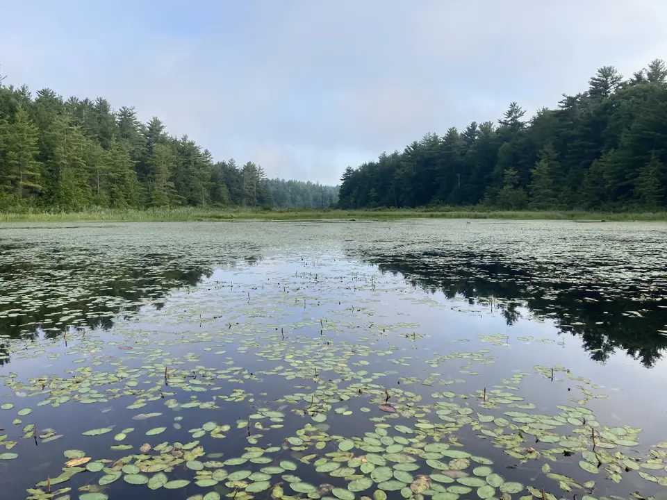 York Lake in New Marlborough, MA | Berkshires Outside