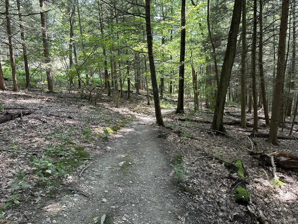 Brothers Trail in Lenox, MA | Berkshires Outside