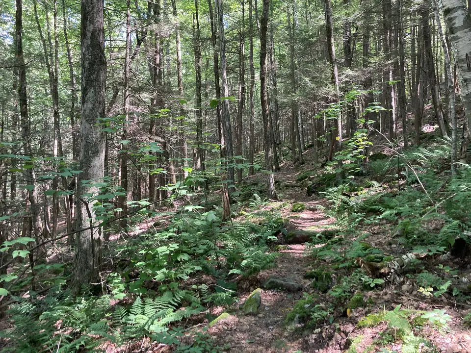 Donato's Trail in Lee, MA | Berkshires Outside