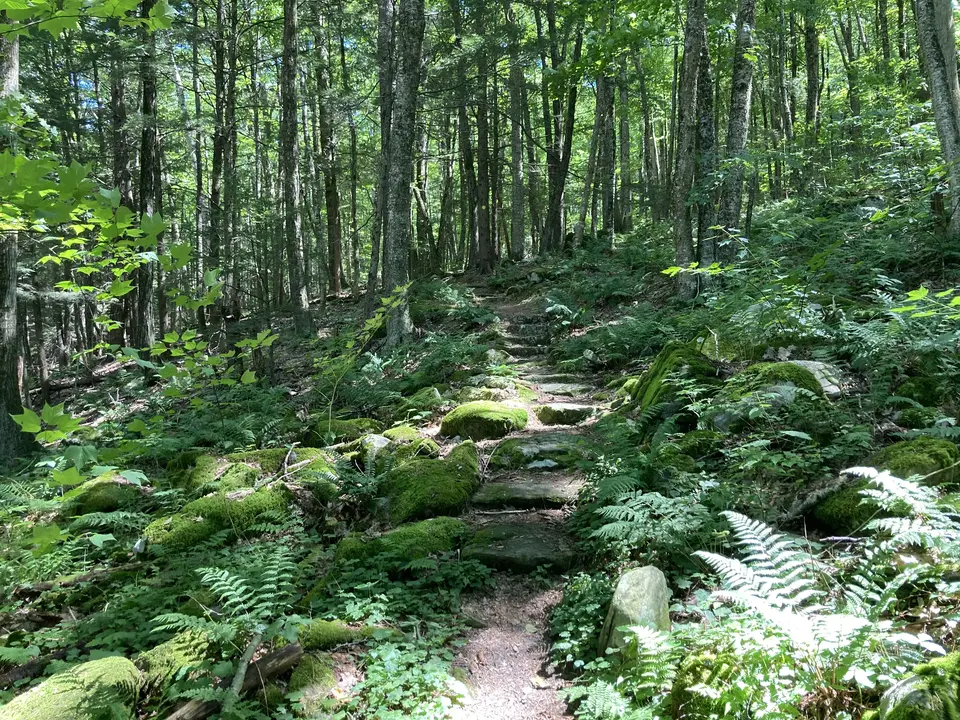 Donato's Trail in Lee, MA | Berkshires Outside