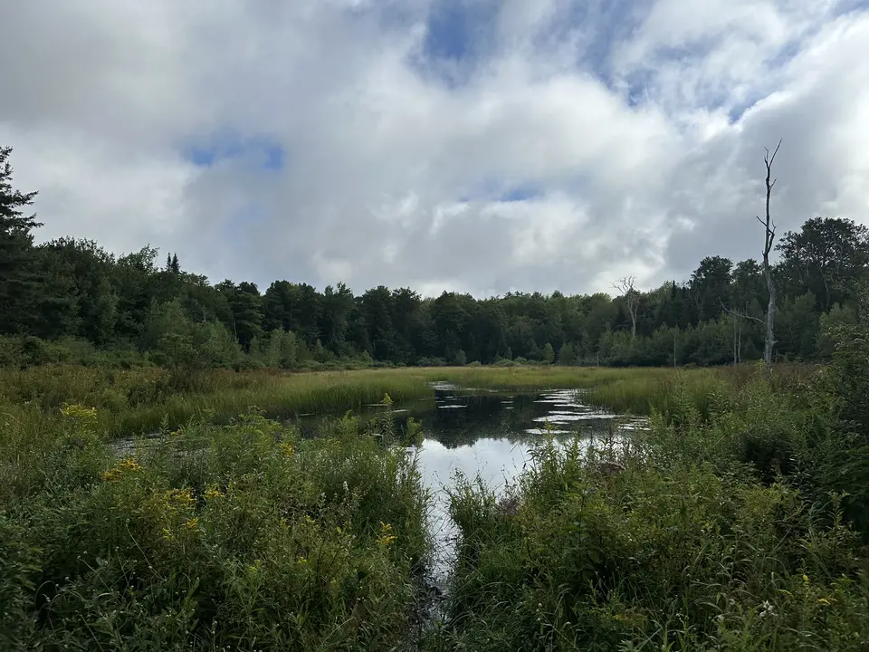 Dorthy Frances Rice Sanctuary for Wildlife in Peru, MA | Berkshires Outside