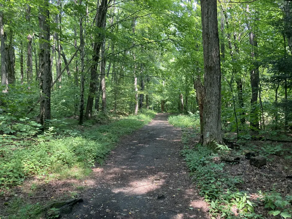 DPW Trailhead in Lenox, MA | Berkshires Outside
