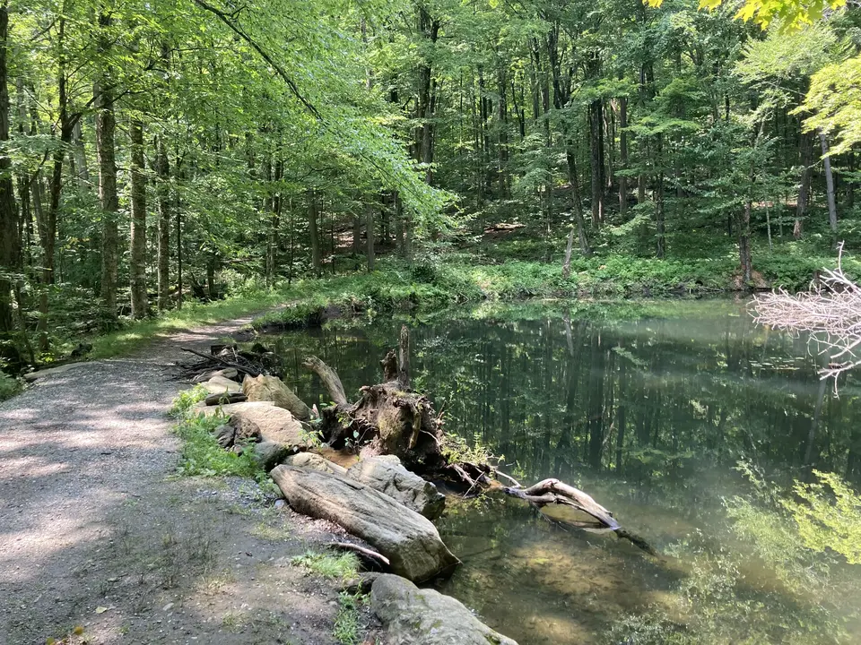 DPW Trailhead in Lenox, MA | Berkshires Outside