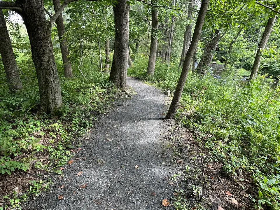 Old Mill Trail - Hinsdale Trailhead in Hinsdale, MA | Berkshires Outside