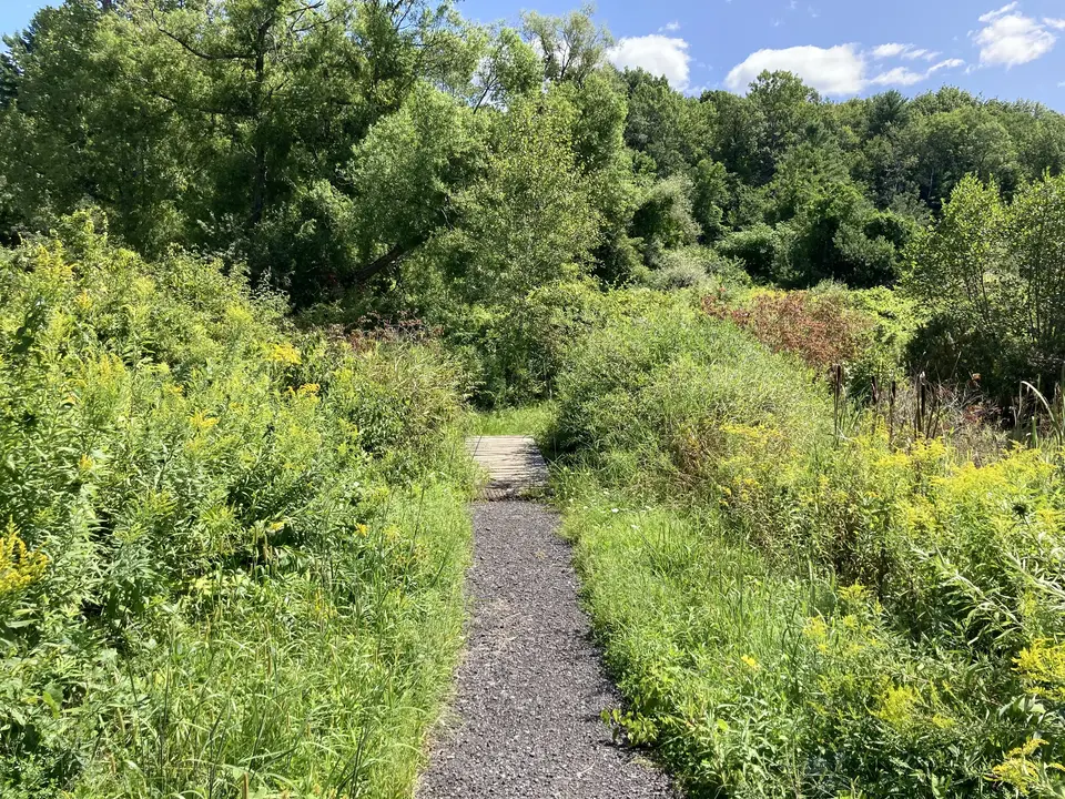 Old Route 7 Greenway - North in Great Barrington, MA | Berkshires Outside