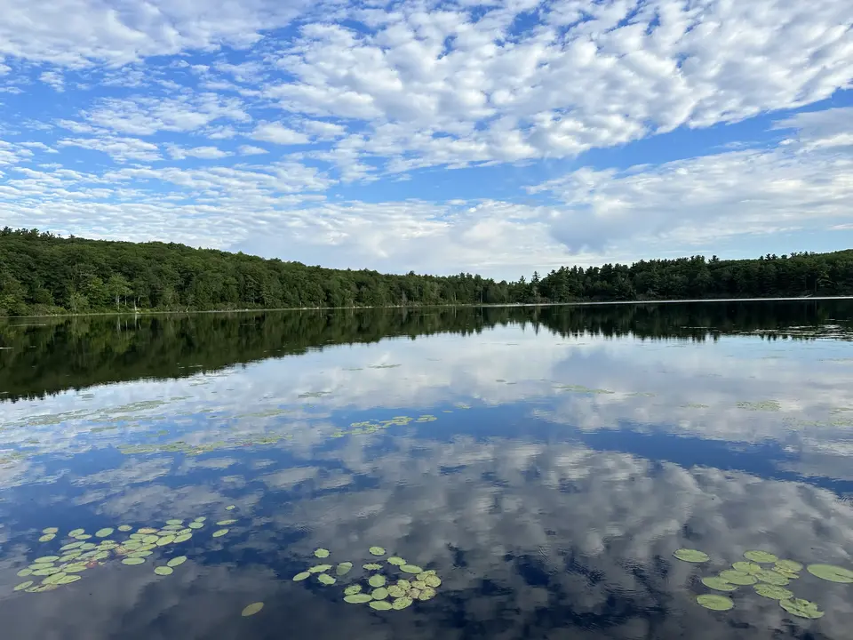Thousand Acre Swamp in New Marlborough, MA | Berkshires Outside