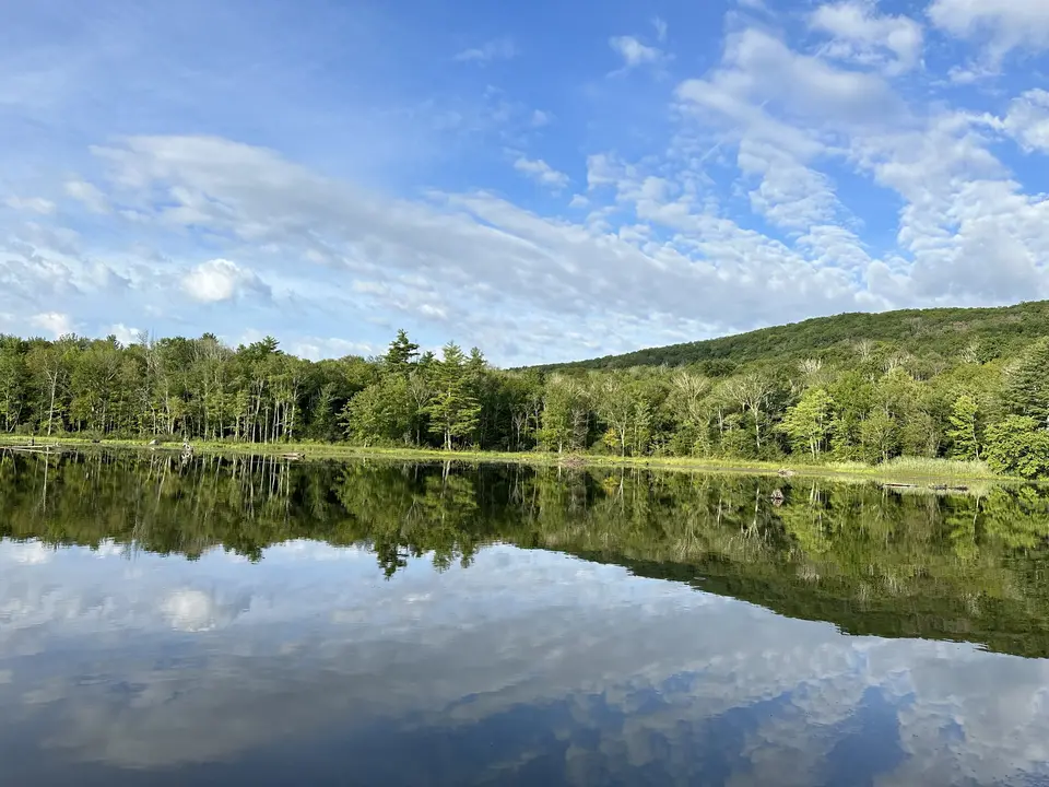 Three Mile Pond in Sheffield, MA | Berkshires Outside