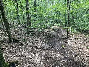 Donato's Trail, Lee, MA