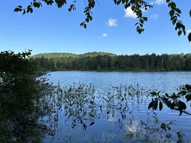 Finnerty Pond Trail, Washington, MA