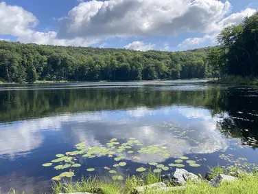 Gorge Trail, Lee, MA