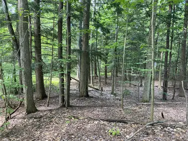 TOURISTS, North Adams, MA