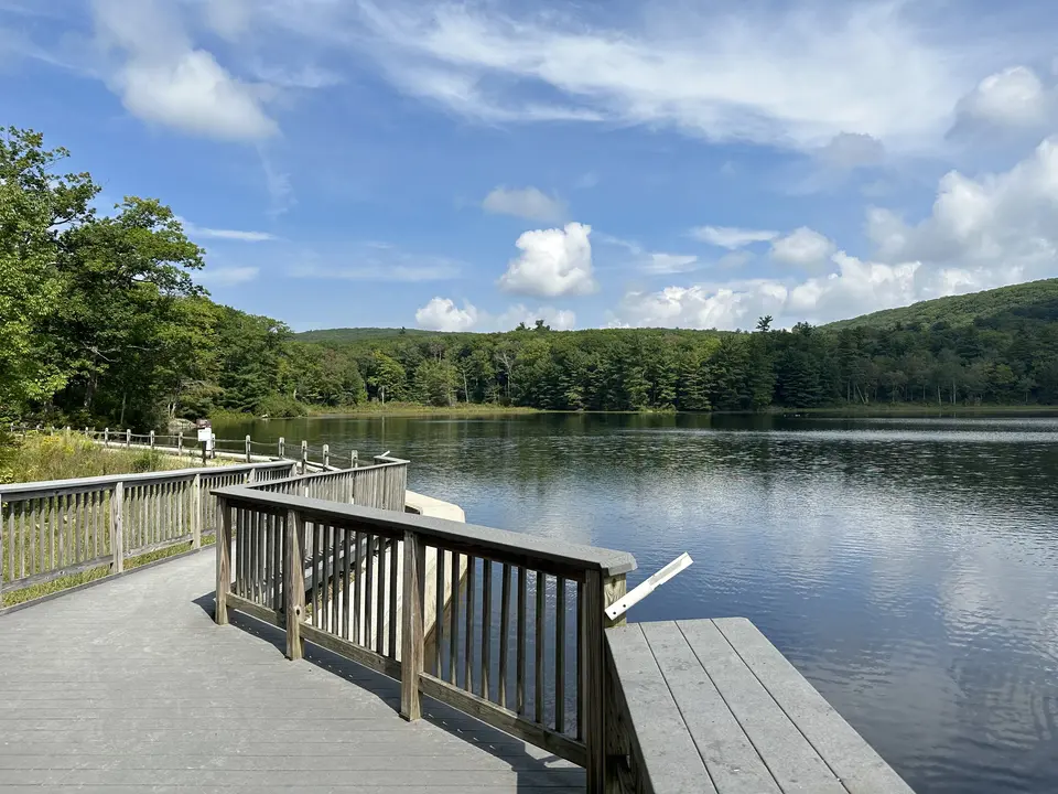 Beartown State Forest Beach in Great Barrington, MA | Berkshires Outside