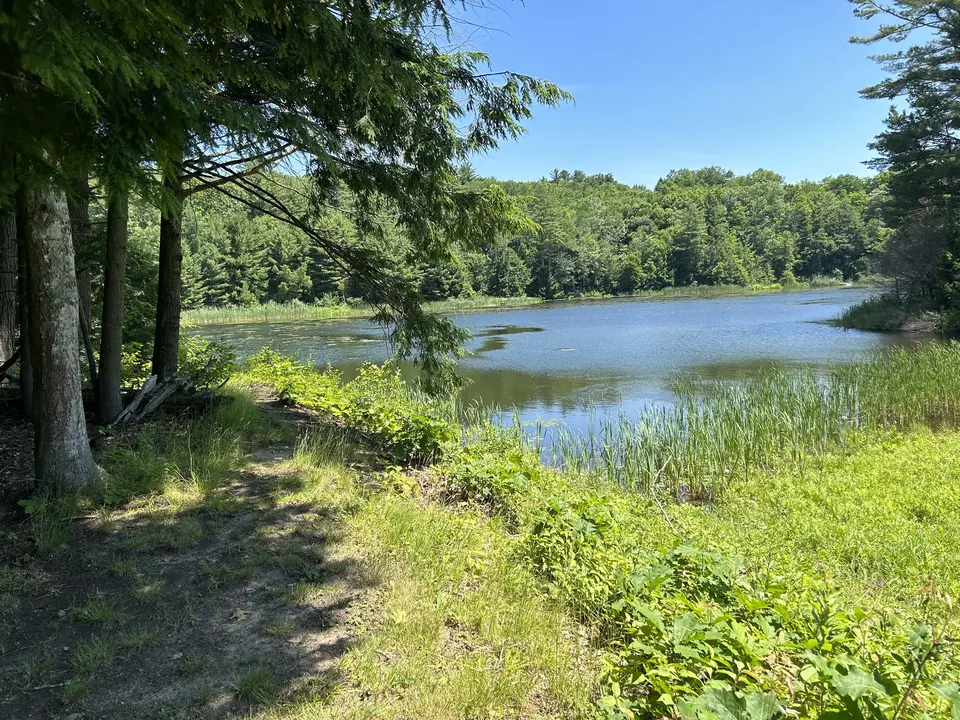 Brewer Pond Park in Monterey, MA | Berkshires Outside