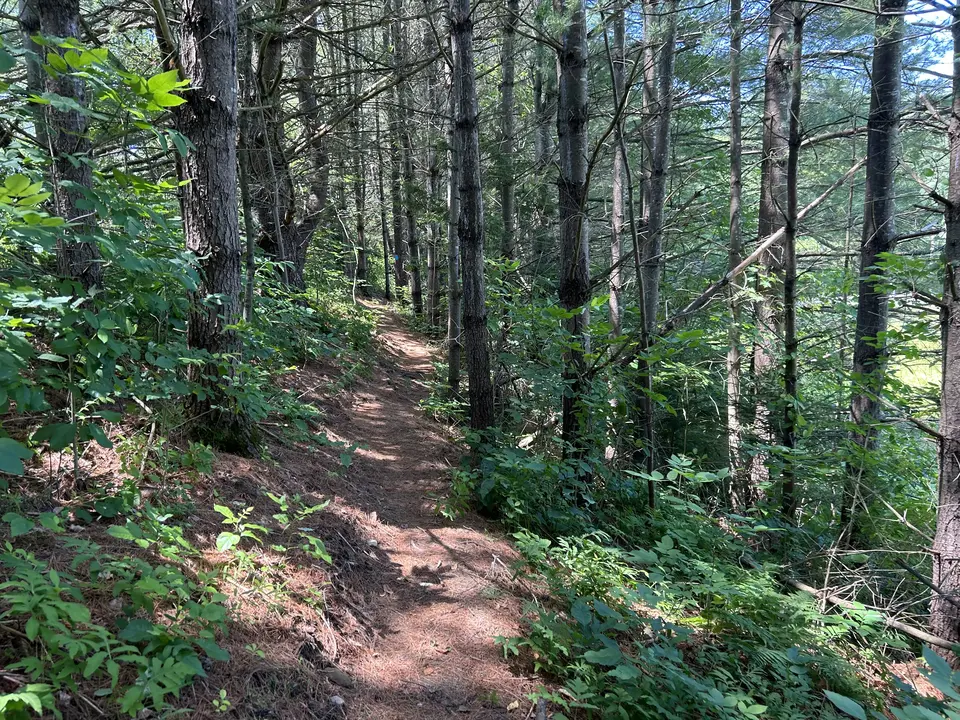 Brewer Pond Park in Monterey, MA | Berkshires Outside