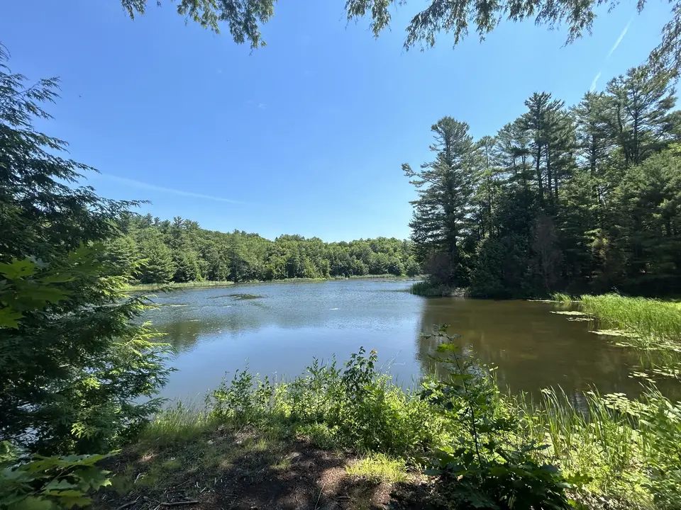 Brewer Pond Park in Monterey, MA | Berkshires Outside