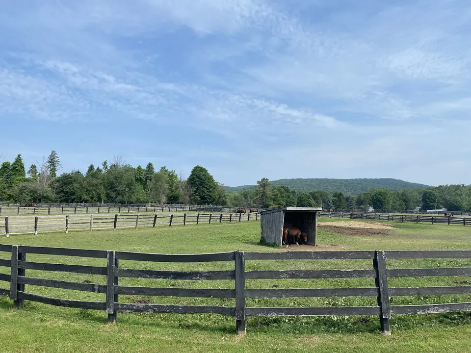 Sebring Stables in Pittsfield, MA | Berkshires Outside