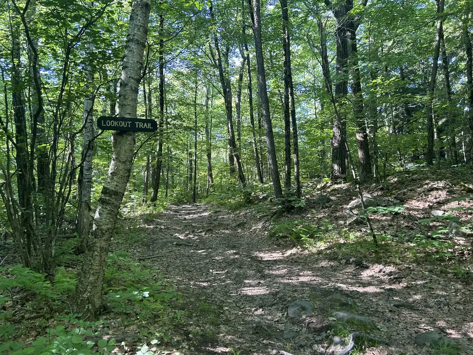 Wildcat Trailhead - Beartown State Forest Road in Great Barrington, MA | Berkshires Outside