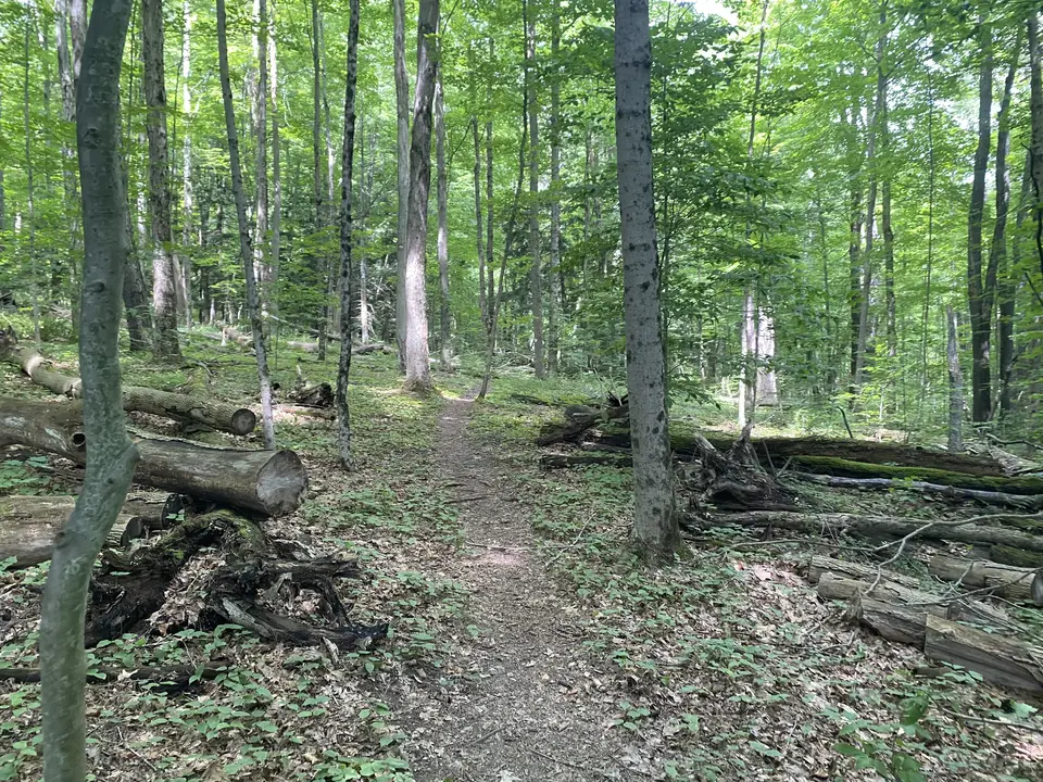 Herman Melville's Arrowhead in Pittsfield, MA | Berkshires Outside