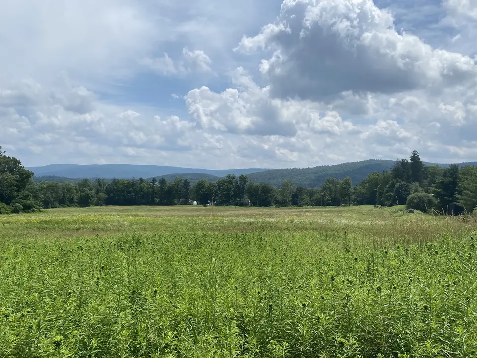 Herman Melville's Arrowhead in Pittsfield, MA | Berkshires Outside