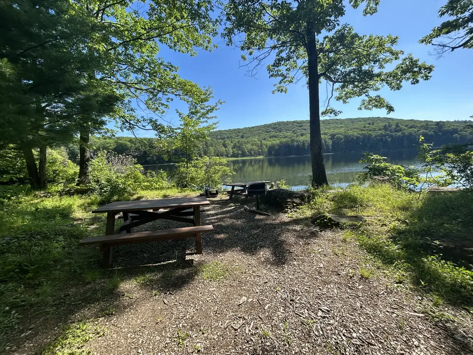 Beartown State Forest Campground and Beach in Great Barrington, MA | Berkshires Outside