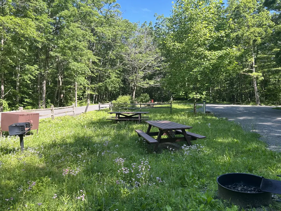 Beartown State Forest Campground and Beach in Great Barrington, MA | Berkshires Outside