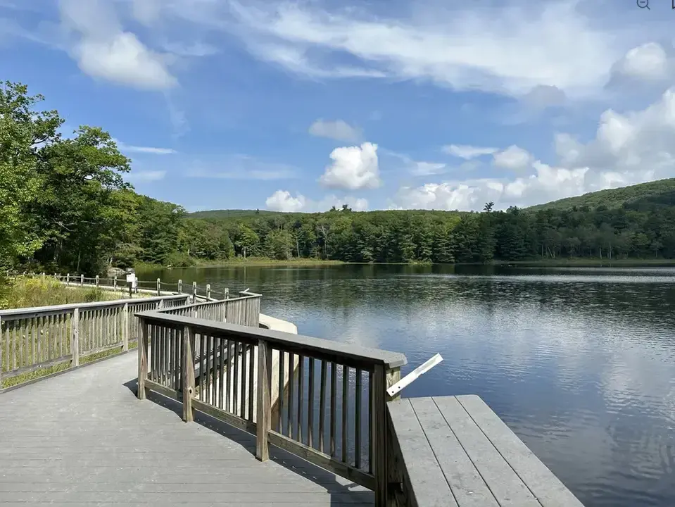 Beartown State Forest Campground and Beach in Great Barrington, MA | Berkshires Outside