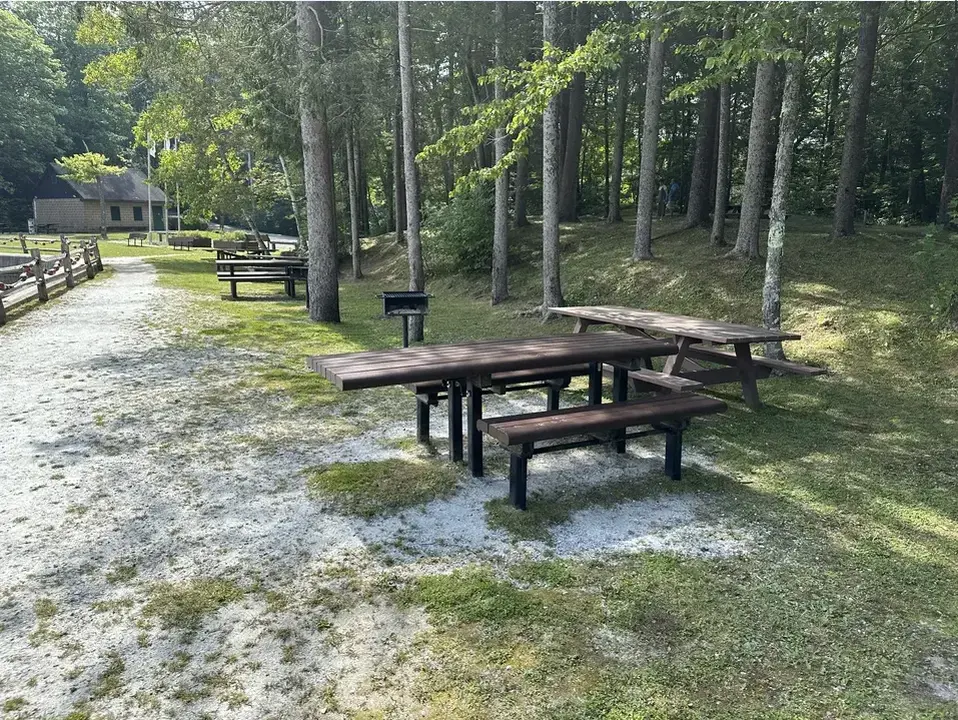 Beartown State Forest Campground and Beach in Great Barrington, MA | Berkshires Outside